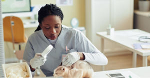 A Veterinarian's Journey