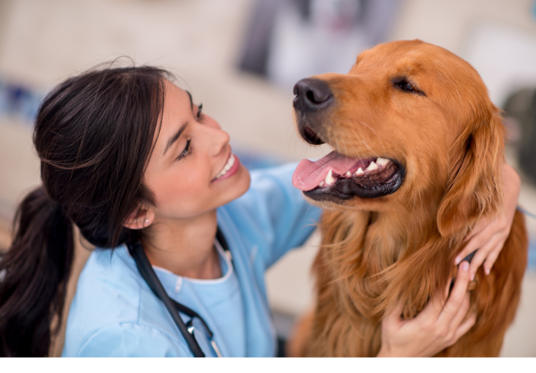 Honoring Veterinary Technicians: Unsung Heroes of Animal Healthcare