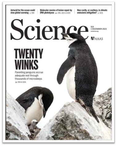 Manitty is featured in Science