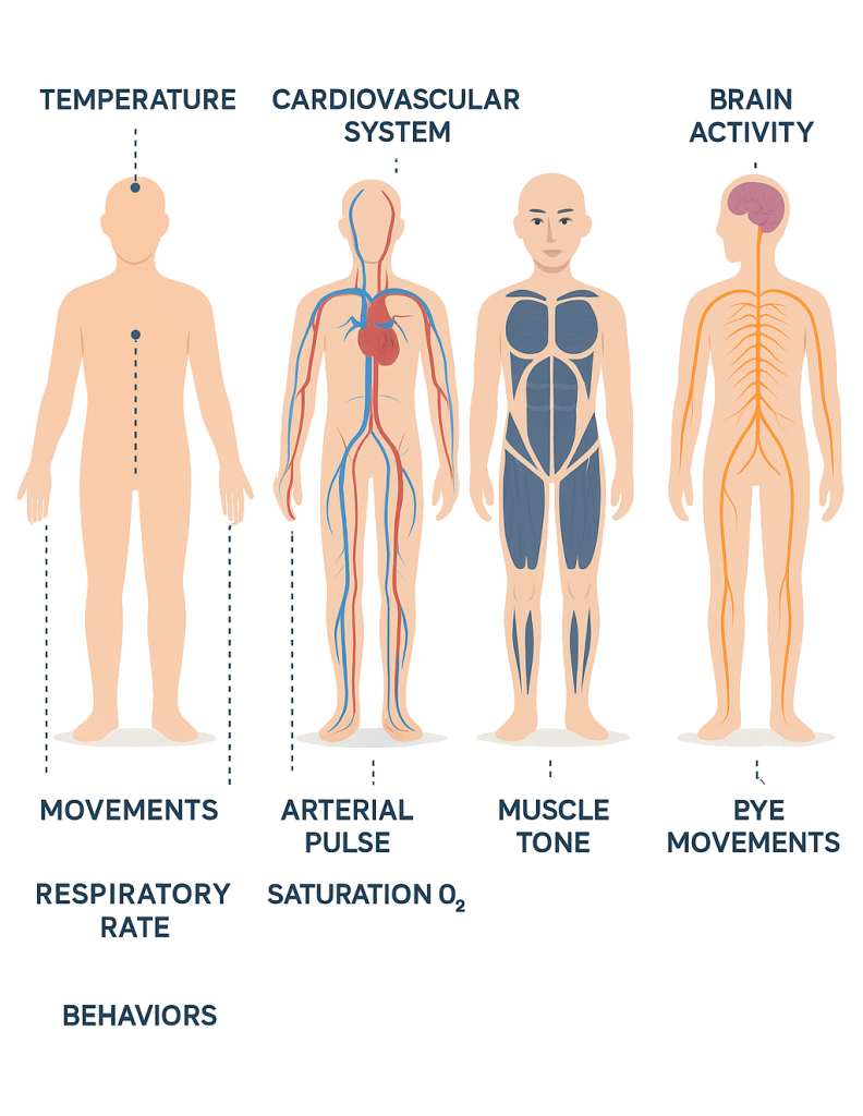 DeepMo-Remote Patient Monitoring