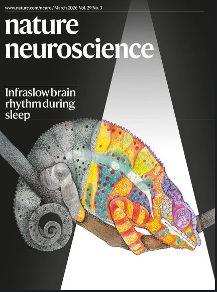 Nature Neuroscience's cover – Volume 29, Issue 3 (March 2026). "Brain infraslow rhythms across species"