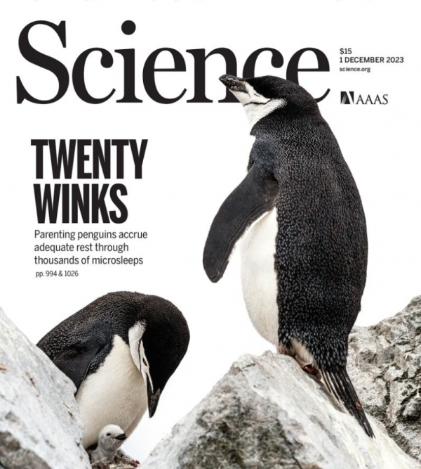Science penguin research Paul Antoine Libourel